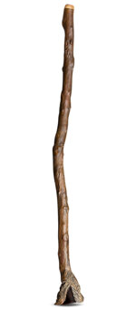 Heartland Didgeridoo (HD494)